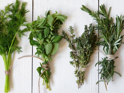 4 plantas medicinales que no pueden faltar en un botiquín básico