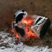 Cinco ideas para reutilizar las cenizas del asado