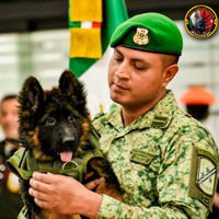 De Turquía para México: Cachorro donado tras la muerte de Proteo llega al AICM