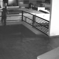 Dos perros Pitbull frustran un robo y obligan al ladrón a saltar desde un segundo piso (Video)