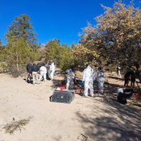 Localizan 10 cuerpos, la mayoría desmembrados, en seis fosas clandestinas en Chihuahua