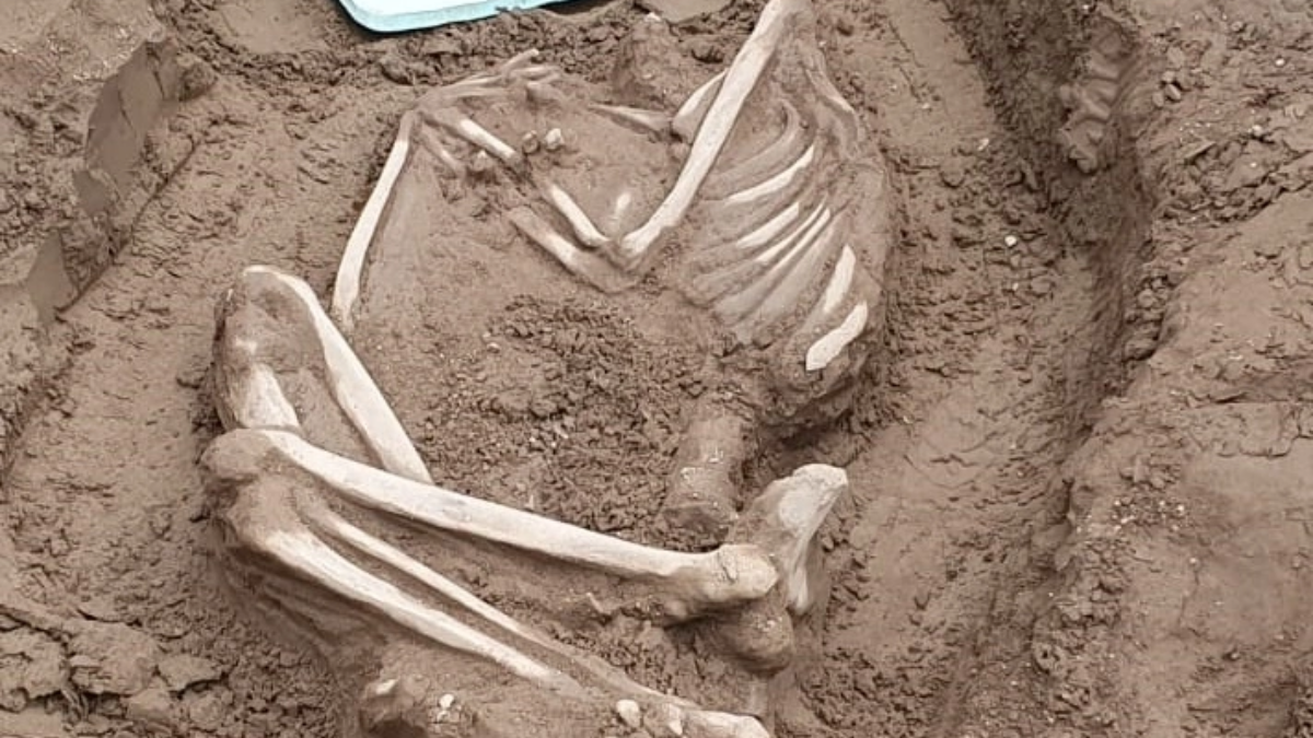 Restos óseos encontrados en Villa El Chocón. Fuente: (Twitter)