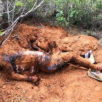 Acusan a Marinos de convertir a Colombia, NL en tiradero de cadáveres