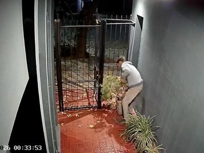 Video: vecinos en alerta por una ola de "roba macetas"