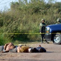 #Procesofoto, las imágenes del día