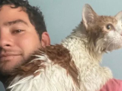 Rescata a un gato de la inundación provocada por el huracán Ian y se vuelve viral (Video)