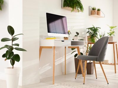 Conocé las plantas perfectas para tu oficina si tenés muy poca luz