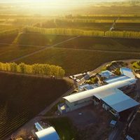 Una bodega de Neuquén será la sede de un importante encuentro sobre vino de la Patagonia