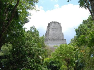 Los mayas de Tikal protegieron espacios verdes en su metrópoli