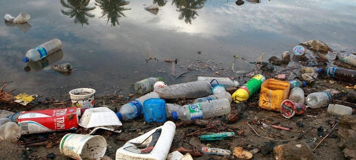 Hongos come plástico podrían ayudar al problema de la contaminación oceánica