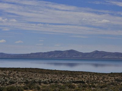 Por la sequía, ya se perdió hasta el 40% de la producción del país