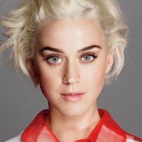 Para valientes: Katy Perry se mete en el mundo de la política, sin rodeos y desde las redes sociales