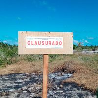 La Profepa clausura un predio de 9.9 hectáreas en Yucatán por cambio de uso de suelo