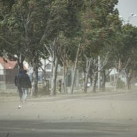 Clima en Neuquén: miércoles con periodos de fuertes vientos y lluvias en la cordillera