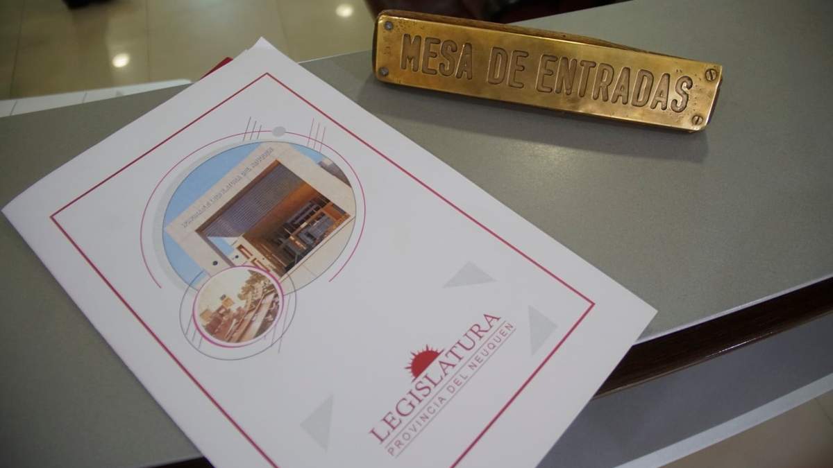 El programa priorizará el acceso a controles prenatales específicos a embarazadas. Fuente: (Legislatura de Neuquén)