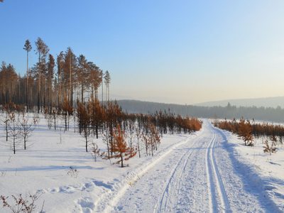 Rusia: sorprendente descubrimiento en una de las regiones más frías del mundo