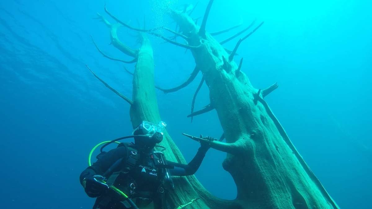 Propuesta de buceo en el lago Traful. Fuente: (Instagram)