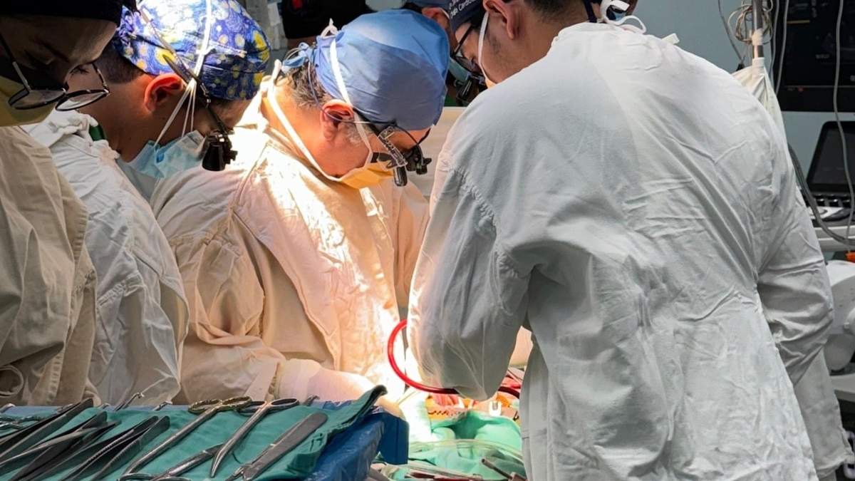 Transplante de órganos