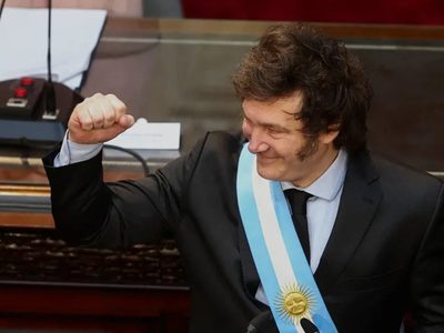 Milei dijo que se viene un súper RIGI para nuevos sectores