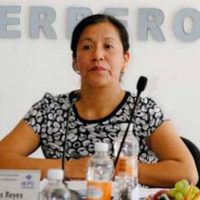 Presidenta del IEPC en Guerrero se "solidariza" y baja su sueldo… de $212 mil a $191 mil al mes