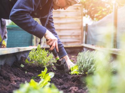 Cuándo y cómo regar tus plantas en invierno para mantenerlas sanas y rozagantes toda la temporada