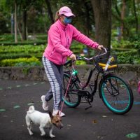 Salud de la CDMX responde al reporte de perros contagiados con covid-19