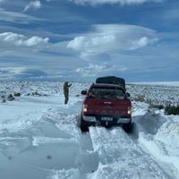El gran desafío en Zapala: acceder a lugares aislados por la enorme cantidad de nieve