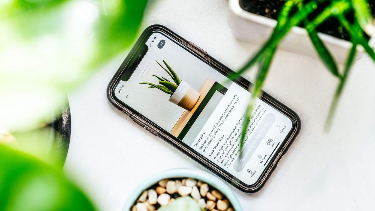 Apps para plantas. Fuente: (Instagram)
