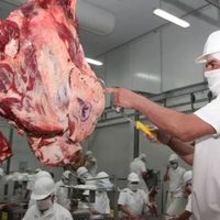 Argentina redobla su estrategia exportadora de carne en EE.UU. con una misión clave del sector