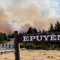 Incendio en Epuyén continúa activo y ya arrasó con más de 3.000 hectáreas