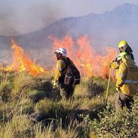 Neuquén concretó el envío a Chile de brigadistas, personal sanitario y vehículos para asistir en los incendios