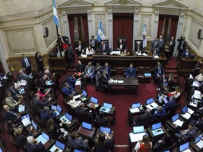 El Senado aprobó la baja en la edad de imputabilidad de 16 a 14 años