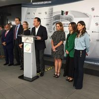 PRI en el Senado rechaza reforma de diputados priistas que amplía presencia del Ejército en calles