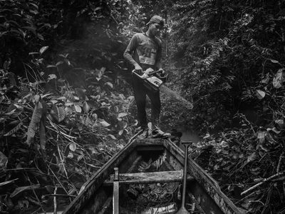 Los “Oscar” de la fotografía: estas fueron las ganadoras del prestigioso World Press Photo
