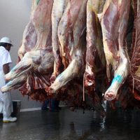 México expresa preocupación por etiquetado de EU a productos cárnicos, avícolas y de huev