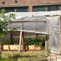 La guardia ambiental instaló un invernadero y una huerta en el Parque Central