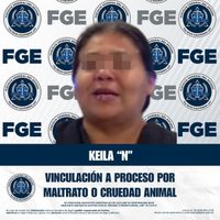 Por crueldad animal, vinculan a proceso a propietaria de albergue para perros en Ensenada