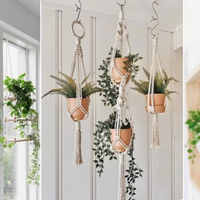Jardinería sin estrés: las plantas que sobreviven aunque te olvides de regarlas
