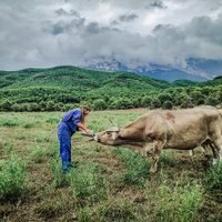 Un concurso premió las mejores imágenes del mundo rural en pandemia
