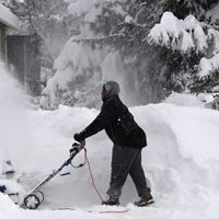 Alarma en Estados Unidos por una gigantesca tormenta de nieve
