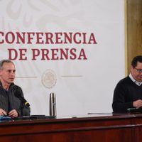 Ssa da seguimiento a la mutación de los visones y comparte postura de la OMS