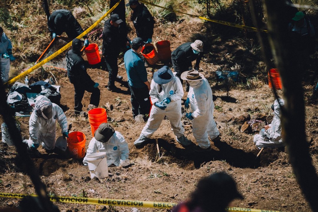 En el Ajusco Foto Carlos Enciso