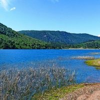 Entre bosques y lago: el destino ideal para acampar cerca de Neuquén