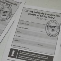 Vacuna contra el coronavirus: las últimas cifras registradas por el Ministerio de Salud