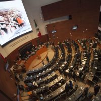 Presenta CNTE iniciativa en el Senado contra la reforma educativa