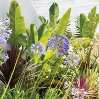 Septiembre en el jardín: las tareas claves para cuidar tus plantas y recibir la primavera