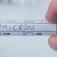 Confirmado: la variante Ómicron ya está presente en Neuquén