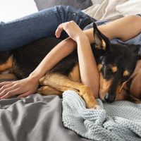 Cómo dormir con mascotas puede ayudarte a combatir el insomnio
