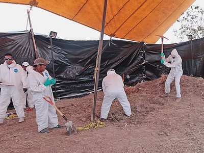 Desaparece información sobre las fosas de Tetelcingo y Jojutla