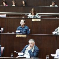 Diputados provinciales del MPN le piden a Javier Milei que se retracte de sus dichos contra Pedro Sánchez